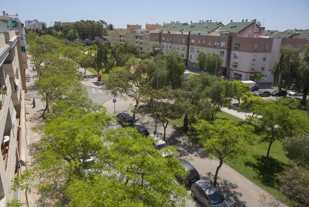Vista aérea del barrio de Teatinos con sus avenidas arboladas